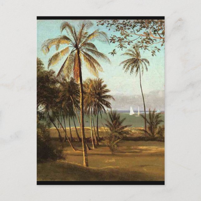 Postal Escena de Florida - Albert Bierstadt (Anverso)