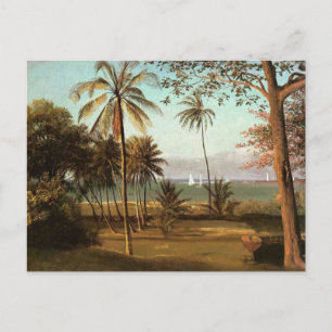 Postal Escena de Florida, pintura de arte fino,