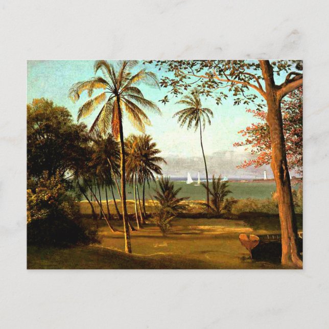 Postal Escena de Florida por Albert Bierstadt (Anverso)