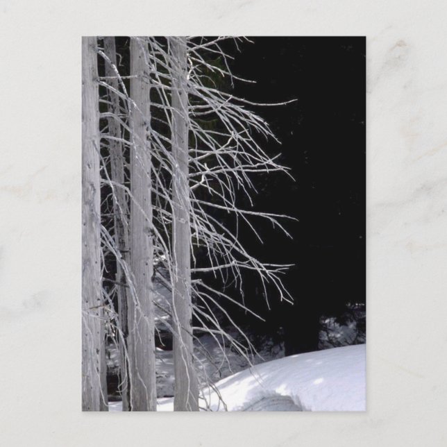 Postal Escena de invierno (Anverso)