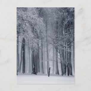 Postal Escena de invierno