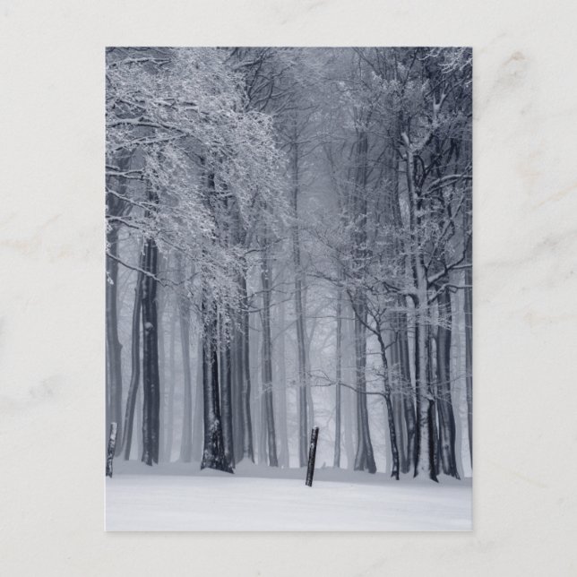 Postal Escena de invierno (Anverso)