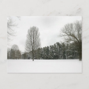 Postal Escena de invierno
