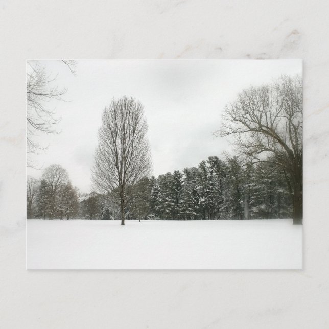 Postal Escena de invierno (Anverso)