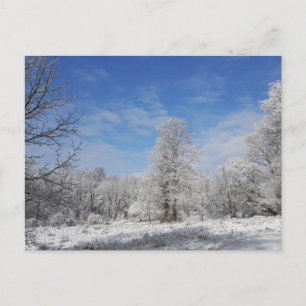 Postal Escena de invierno del noreste