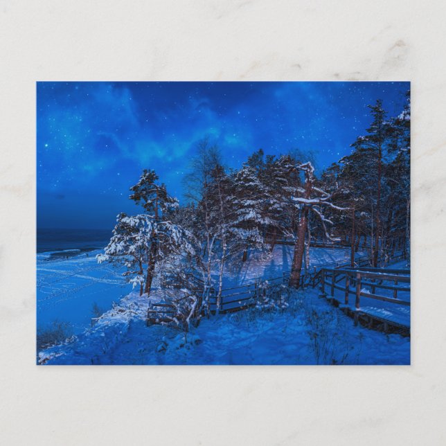 Postal Escena de invierno nocturna con pinos cubiertos de (Anverso)