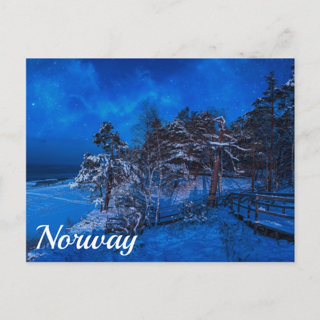 Postal Escena de invierno nocturna con pinos cubiertos de (Anverso)