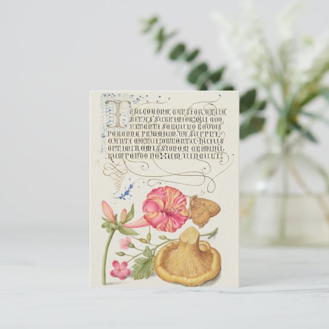 Postal Escena de jardín con flores, mariposa y hongo (Anverso de pie)