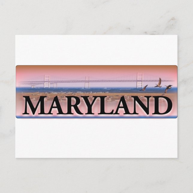Postal Escena de la bahía de Maryland Chesapeake (Anverso)