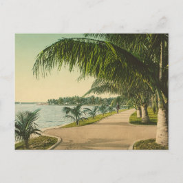 Postal Escena de la época de la Florida Palm Beach 1898