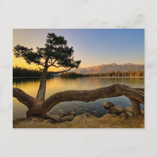Postal Escena de la naturaleza