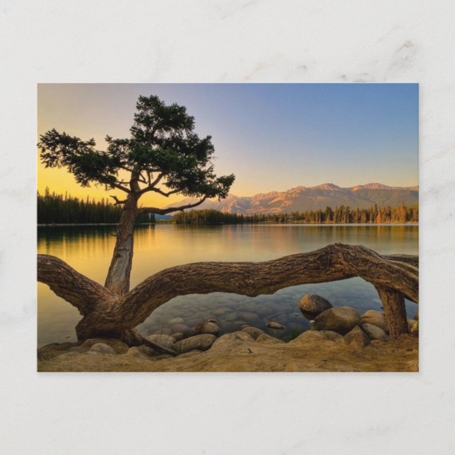 Postal Escena de la naturaleza (Anverso)