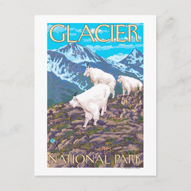 Postal Escena de las cabras de montaña - Parque nacional  (Anverso)