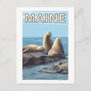 Postal Escena de los leones en el mar de Maine