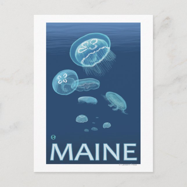 Postal Escena de Maine Jellyfish (Anverso)