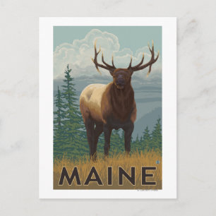 Postal Escena de MaineElk