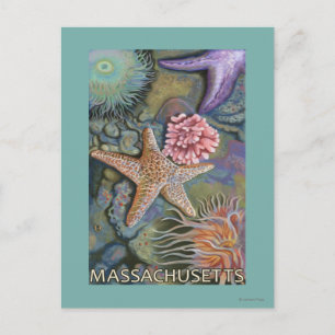 Postal Escena de MassachusettsTidepool