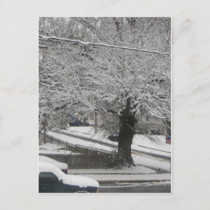 Postal Escena de nieve