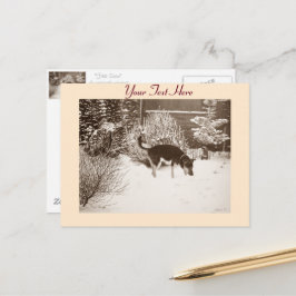 Postal Escena de nieve de invierno con perro negro lindo