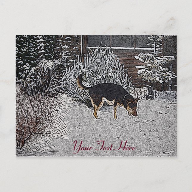 Postal Escena de nieve de invierno con perro negro lindo  (Anverso)