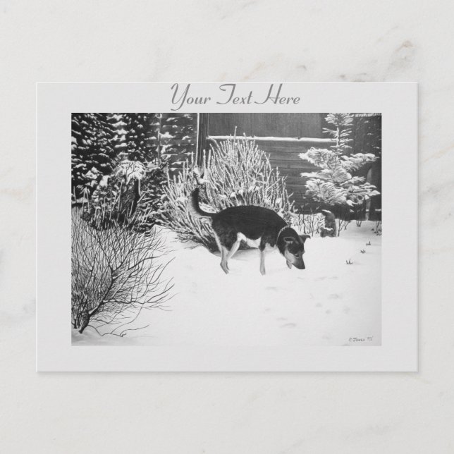 Postal Escena de nieve de invierno con perro negro lindo  (Anverso)
