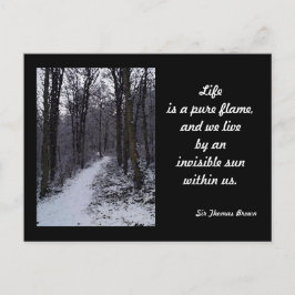 Postal Escena de Nieve en Woodland