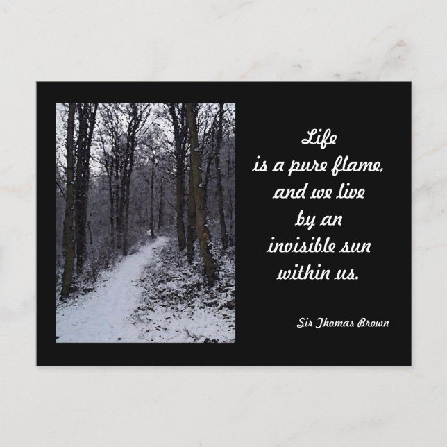 Postal Escena de Nieve en Woodland (Anverso)