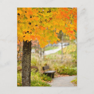 Postal Escena de otoño