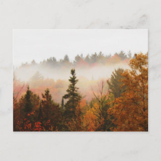 Postal Escena de paisaje de árboles de otoño de Adirondac