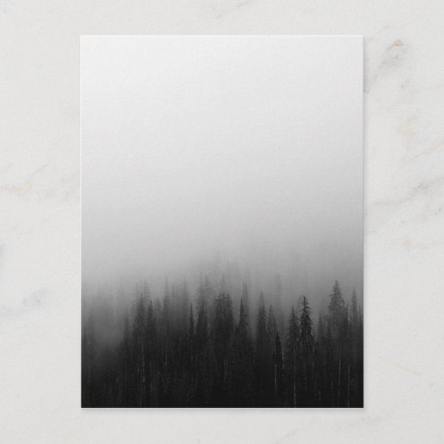 Postal Escena de paisaje natural forestal Foggy Mystical (Anverso)