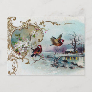 Postal Escena de pájaros