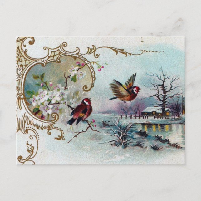 Postal Escena de pájaros (Anverso)