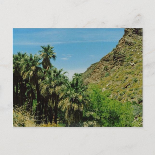 Postal Escena de Palm Springs (Anverso)