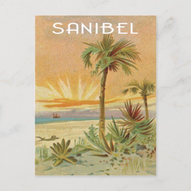 Postal Escena de playa de Sanibel (Anverso)