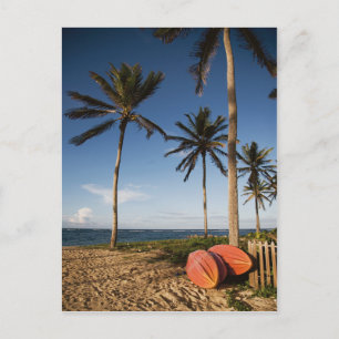 Postal Escena de playa tropical