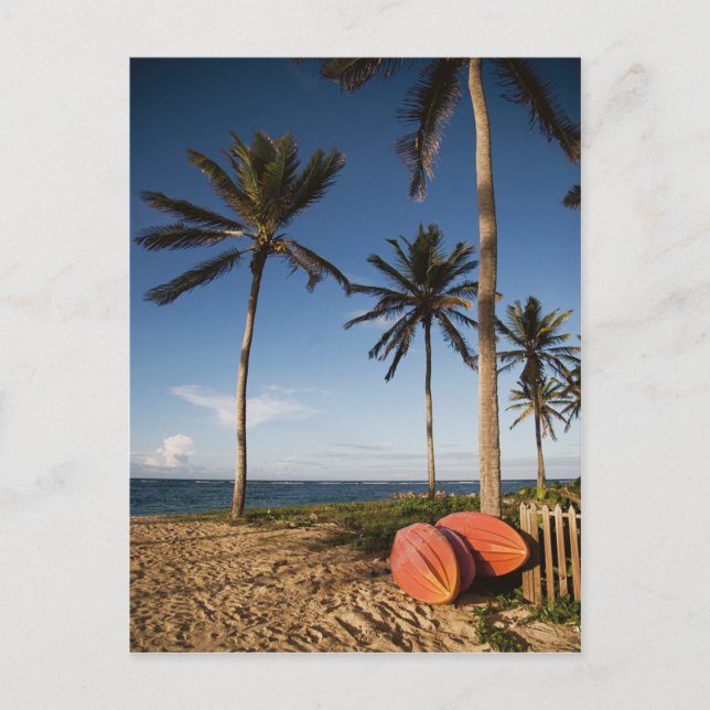 Postal Escena de playa tropical (Anverso)