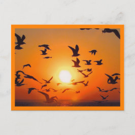Postal Escena de puesta de sol con borde naranja