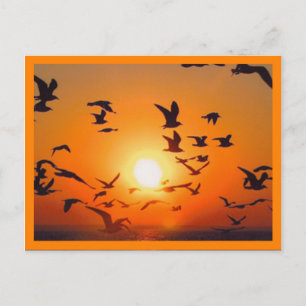 Postal Escena de puesta de sol con borde naranja