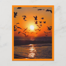 Postal Escena de puesta de sol con borde naranja
