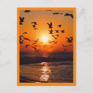 Postal Escena de puesta de sol con borde naranja