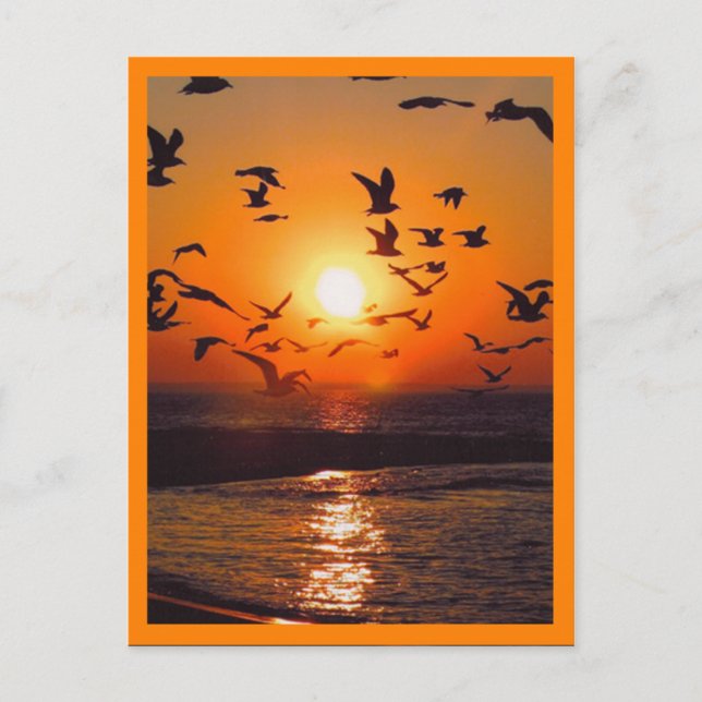 Postal Escena de puesta de sol con borde naranja (Anverso)