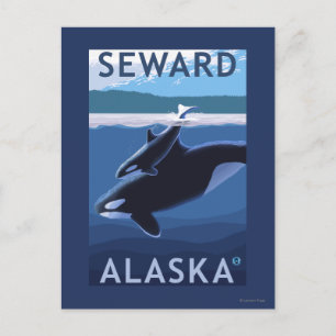 Postal Escena de Seward, AlaskaOrca y Calf