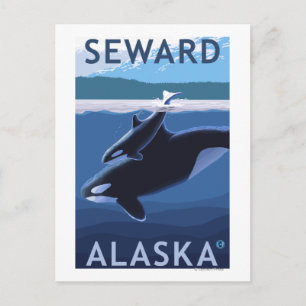 Postal Escena de Seward, AlaskaOrca y Calf