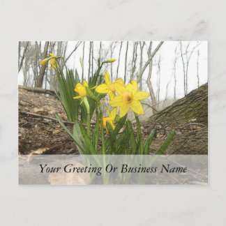 Postal Escena de Woodland - Daffodils