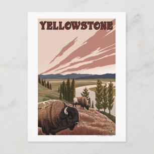 Postal Escena de YellowstoneBison