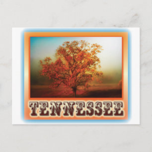 Postal Escena del árbol de la caída de Tennessee