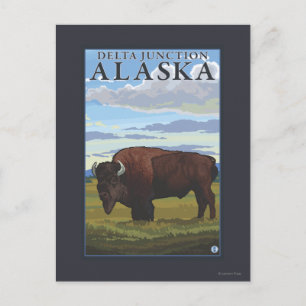 Postal Escena del bisonte - empalme del delta, Alaska