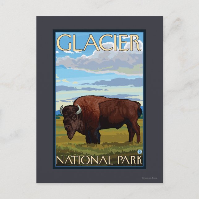 Postal Escena del bisonte - Parque Nacional Glacier, TA (Anverso)