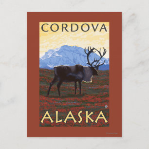 Postal Escena del caribú - Cordova, Alaska