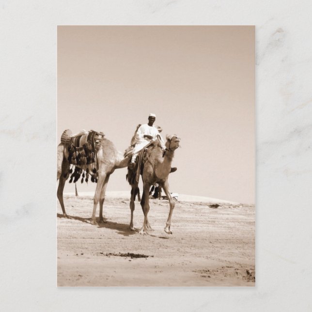 Postal Escena del desierto (Anverso)